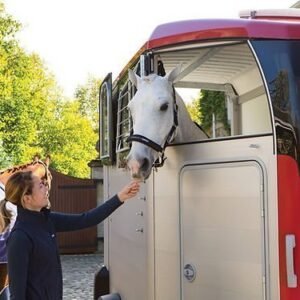 Ifor Williams – Hbx 506 – 2 Plätze – Gebrauchte