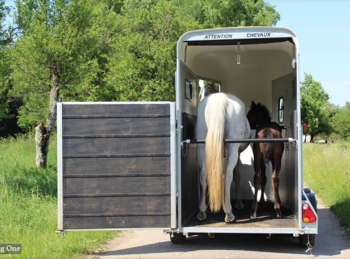 Pferdetransporter Cheval Liberté Touring One – Bild 3
