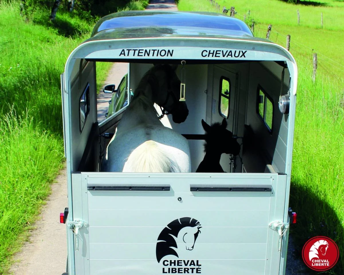 Pferdetransporter Cheval Liberté Touring One – Bild 4
