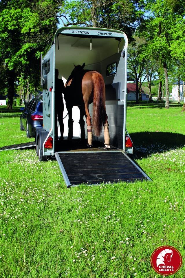 Pferdetransporter Cheval Liberté Touring One – Bild 6